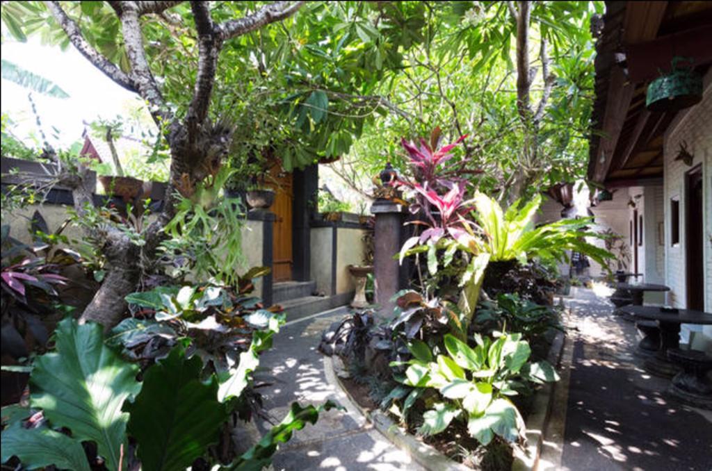 New Danas Canggu Guest House Kerobokan  Exterior photo